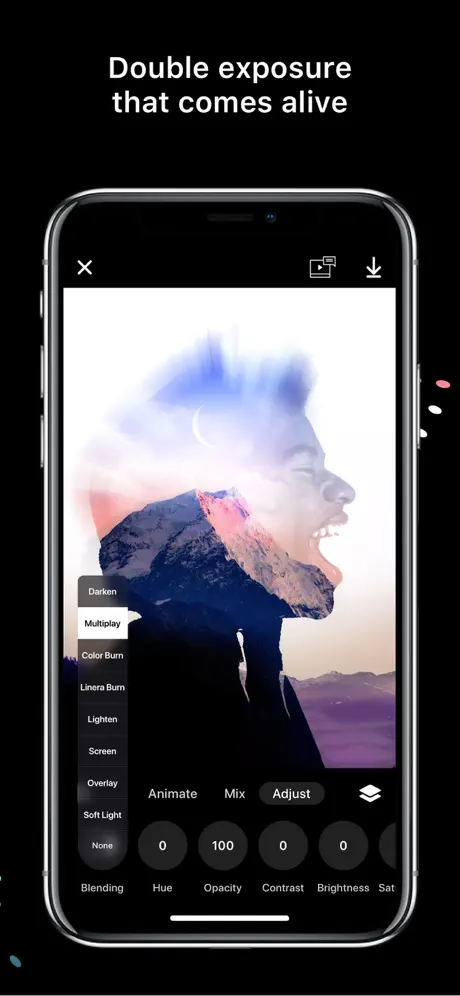 Disflow - Motion Image Editor
