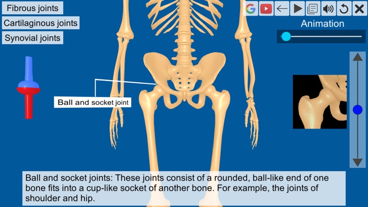 Joints: The Human Levers screenshot-3