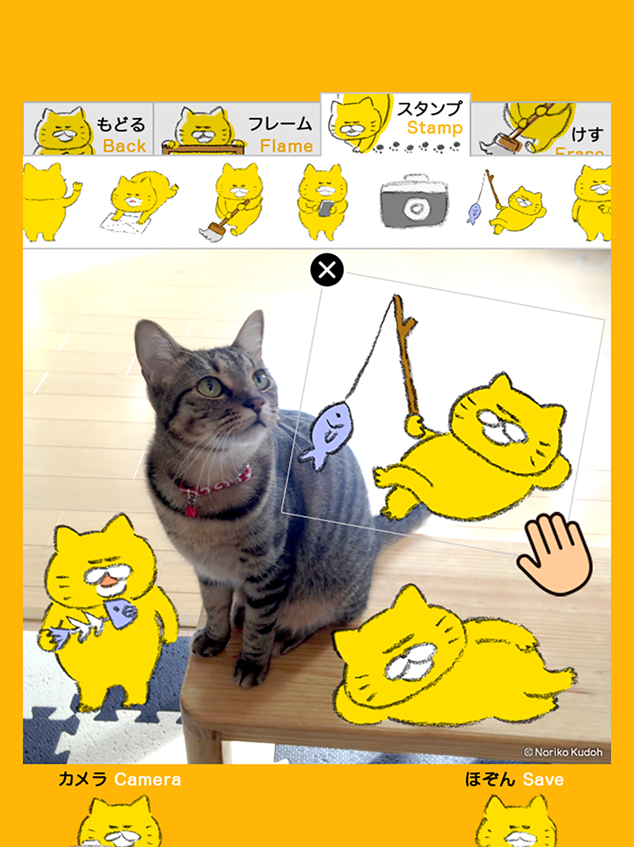 Stray Cats Camera