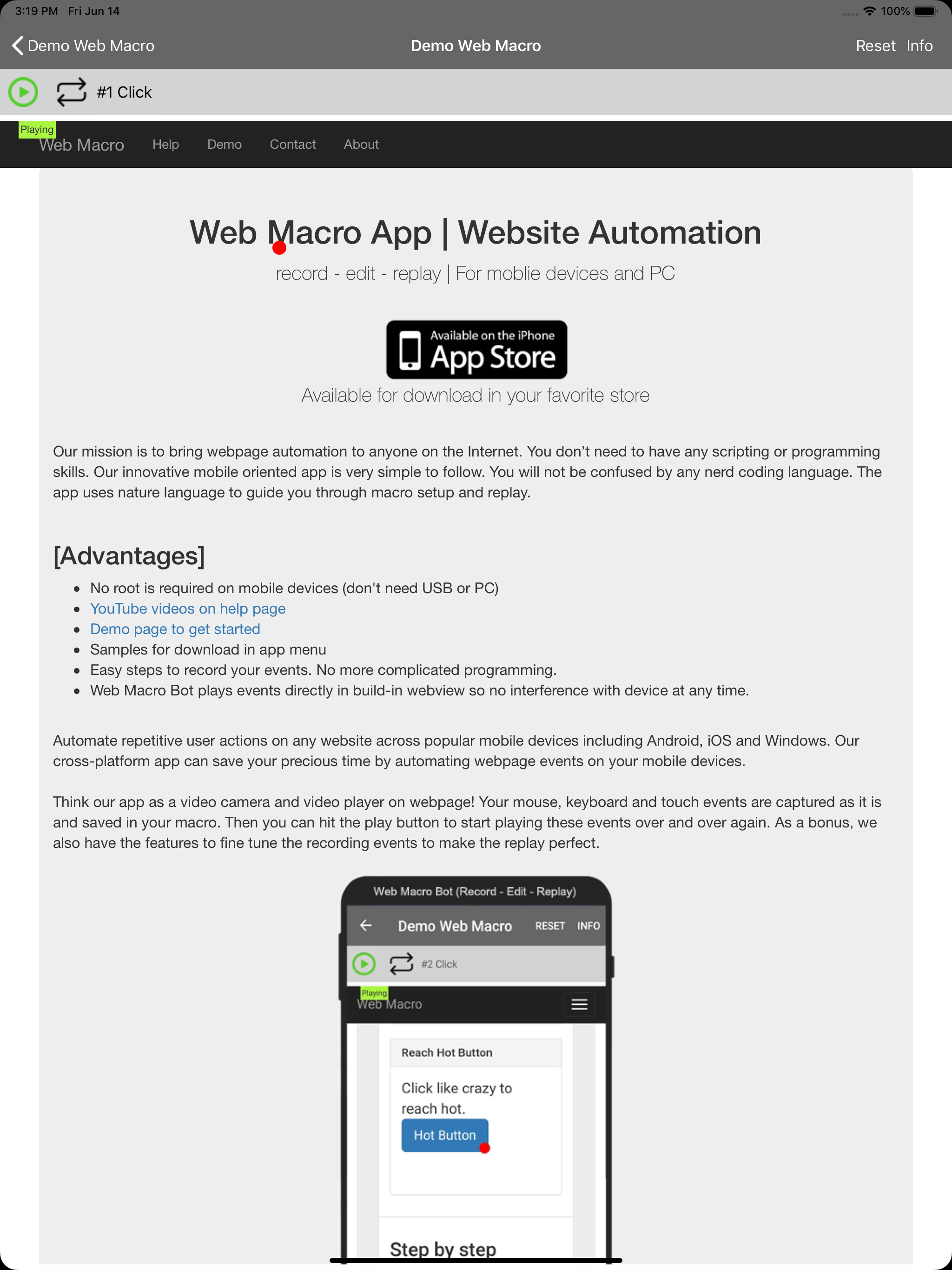 Web Macro Bot: Record & Replay