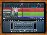 Analog Rack Guitar Equalizer ipad bilder 0