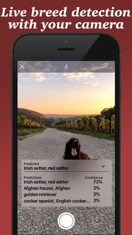 Game screenshot Dog Breed Scanner mod apk