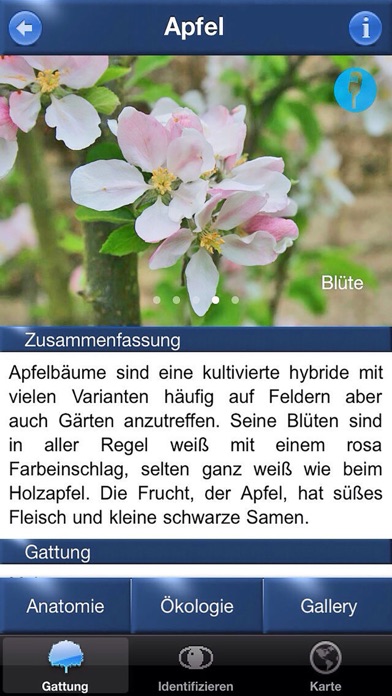 Baum Id Schweiz - Naturführer Screenshot