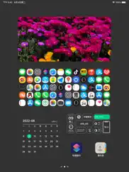 quike widget ipad resimleri 2