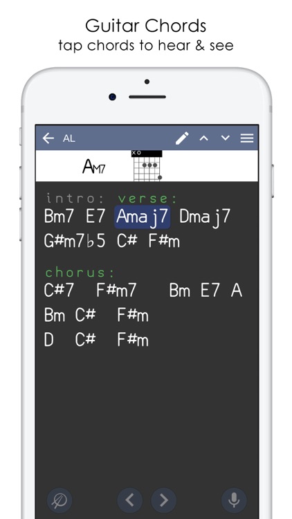 Musicians Notebook & Recorder screenshot-6