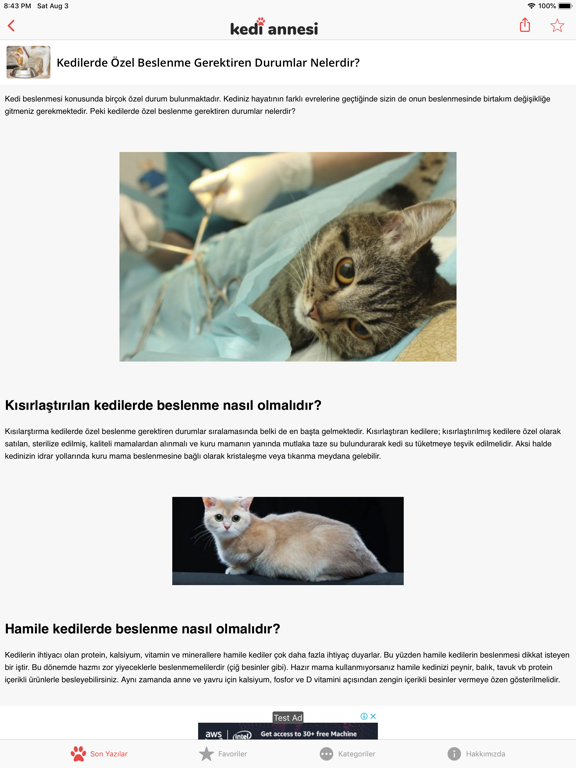 Kedi Annesi iPad screenshot