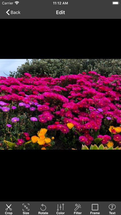 Power Photo Pro screenshot-3