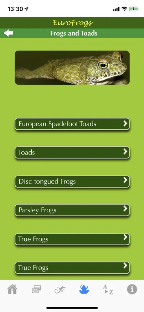 EuroFrogs