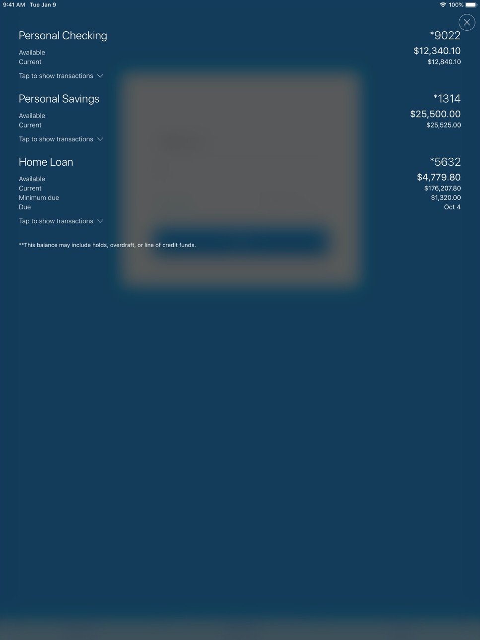 iPad screenshot