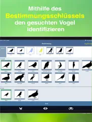 bird id - garden birds germany ipad images 4