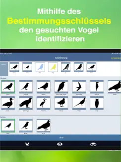 Bird Id - Garden Birds Germany iPad image 4