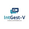 IntGest-V