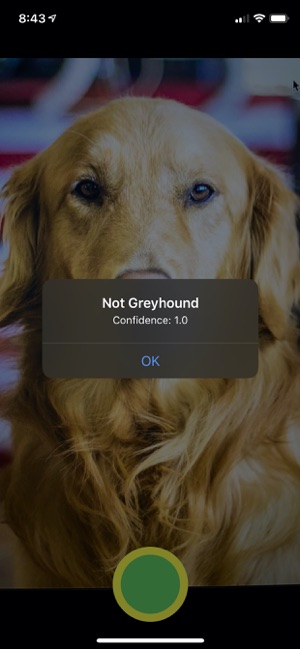 Not Greyhound(圖4)-速報App