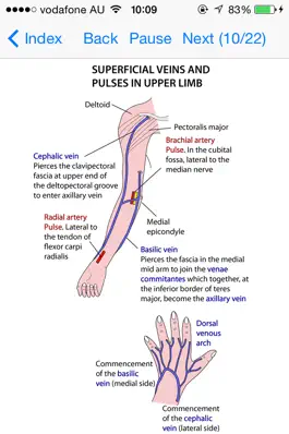 Game screenshot Anatomy Lectures Limbs mod apk