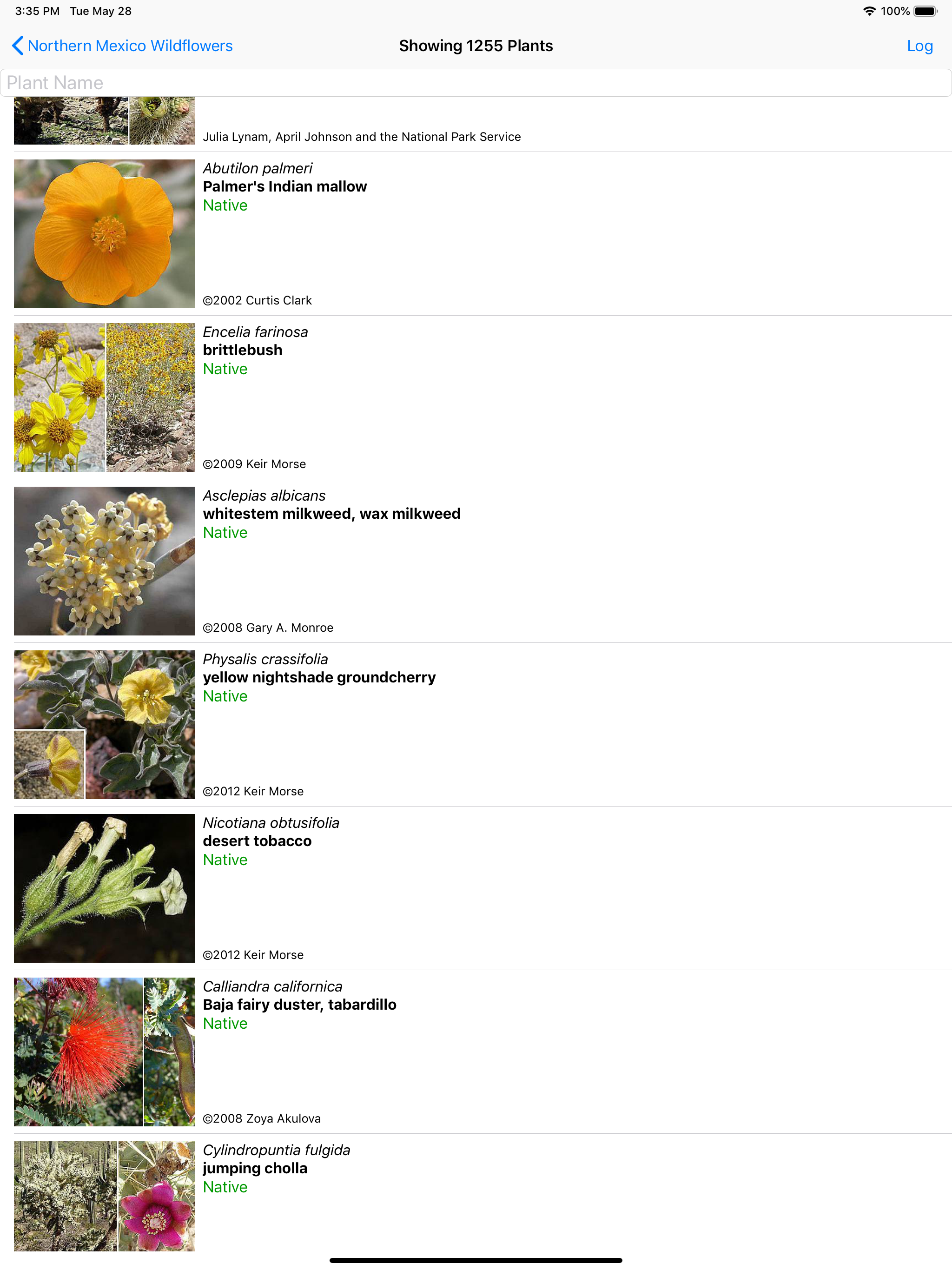 Northwest Mexico Wildflowers screenshot 11