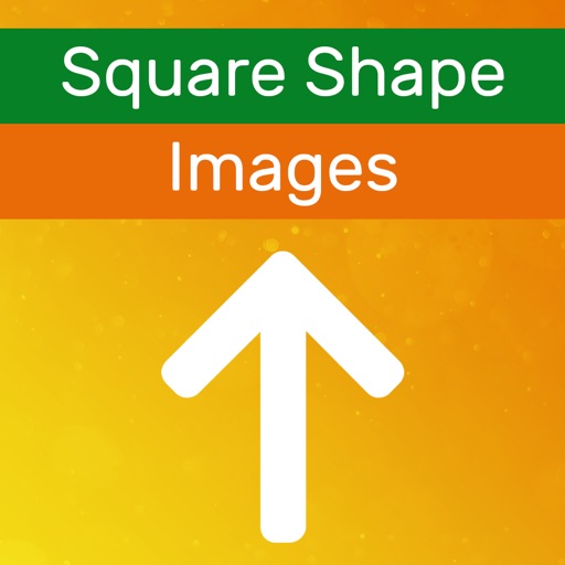 Square Shape Snap Pic icon