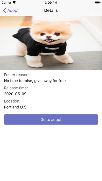 keep a pet screenshot-3