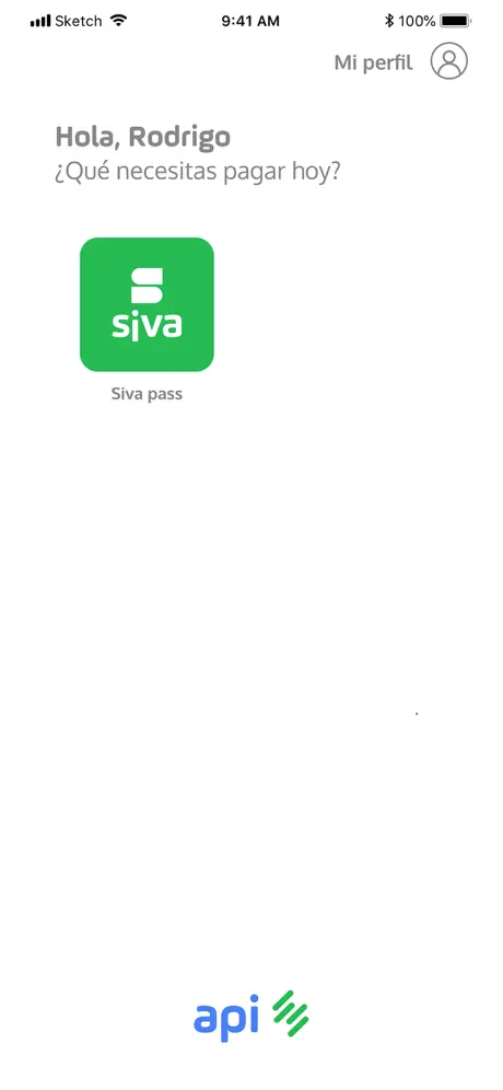 Api wallet