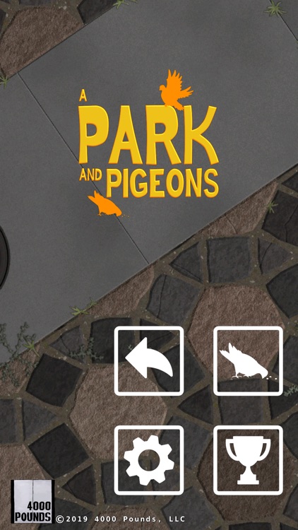 A Park And Pigeons