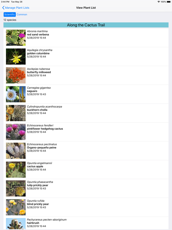 Northwest Mexico Wildflowers iPad screenshot