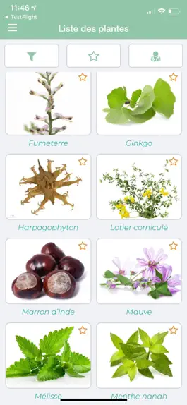 Game screenshot Flora Natura mod apk