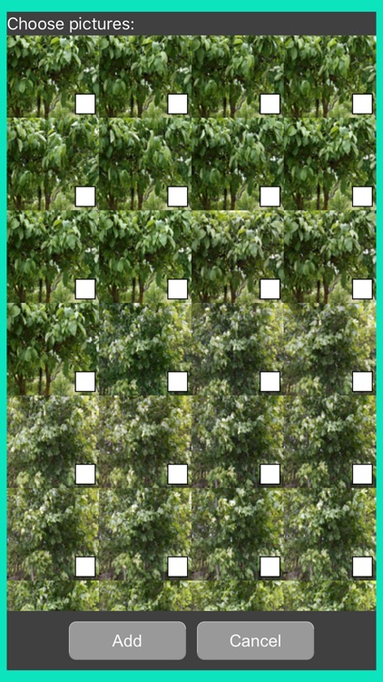 Video Maker+