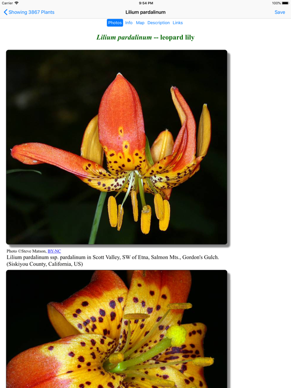 Screenshot #6 pour South California Wildflowers