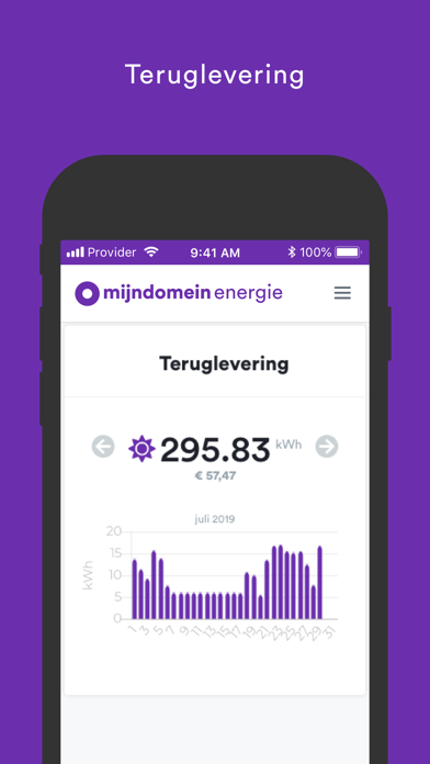 Mijndomein Energie Screenshot