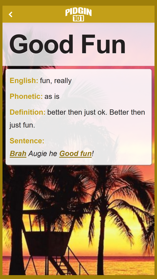 #4. Pidgin 101 App (iOS) 来自: Piusworks LLC
