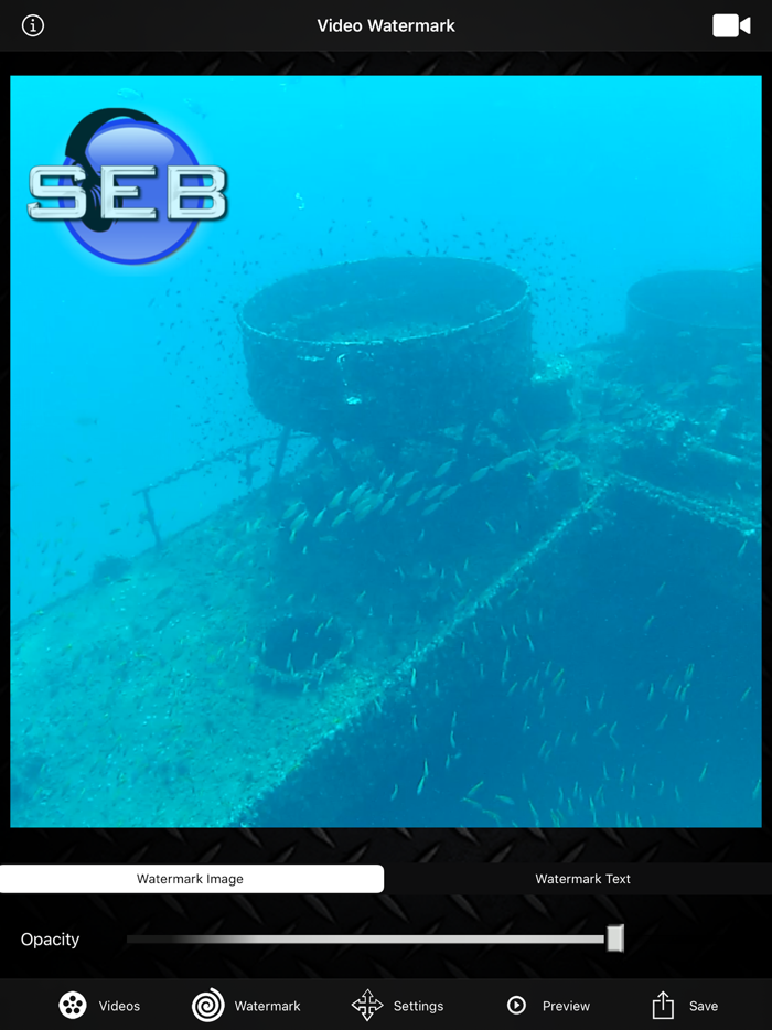 Video Watermark