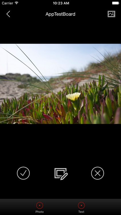 WorldShaking Producer