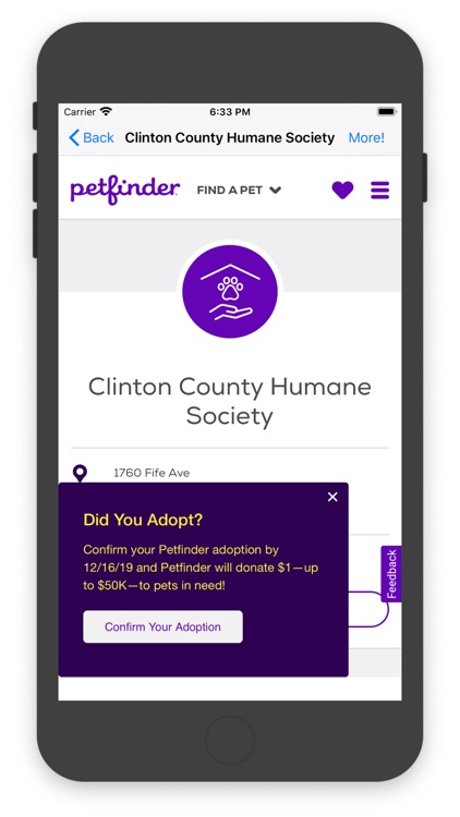 Adoptable Cat For You! screenshot-3