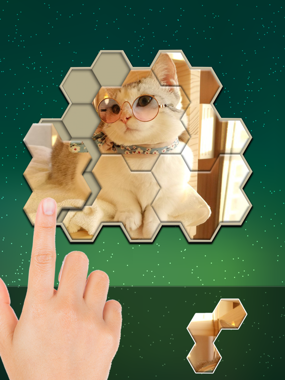 Jigsaw Hexa Block iPad screenshot