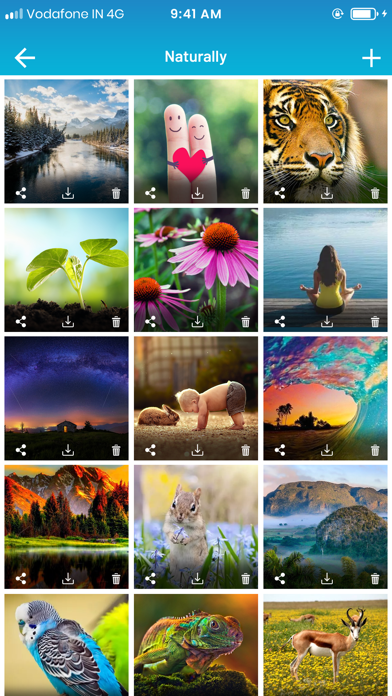 Private Vault : Photo & Video Screenshot