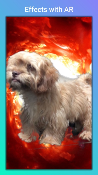 Screenshot #1 pour Puppy+