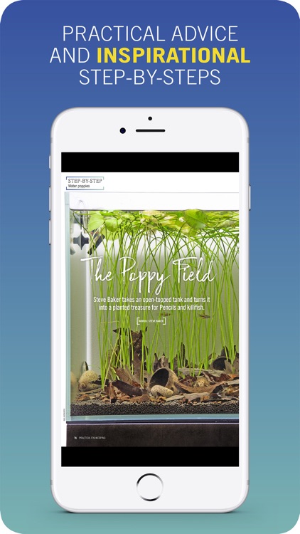 PFK: Practical Fishkeeping
