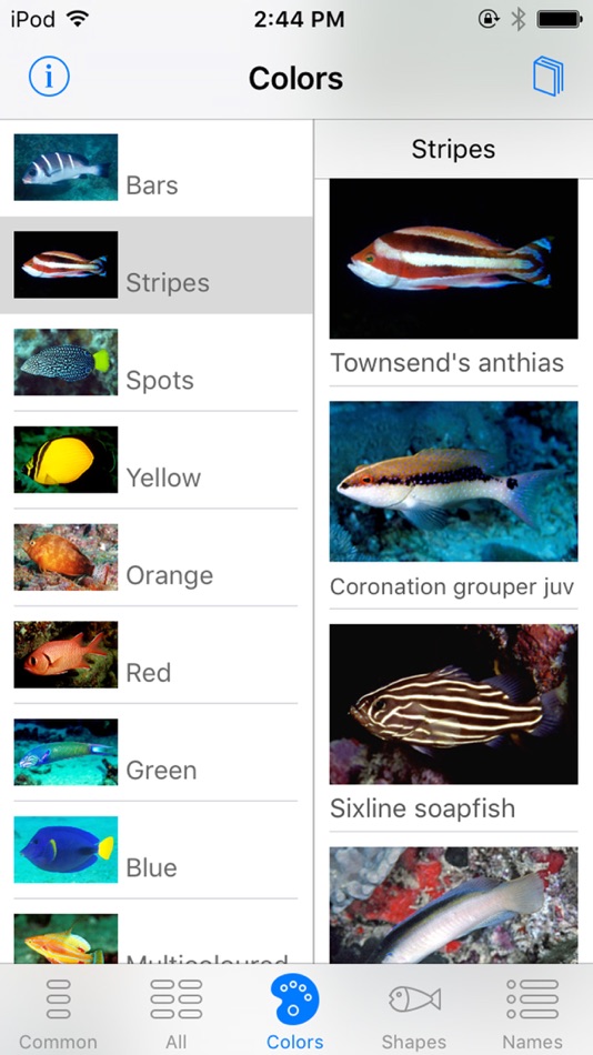 #5. Oman Fish ID (iOS) 由: John P. Hoover