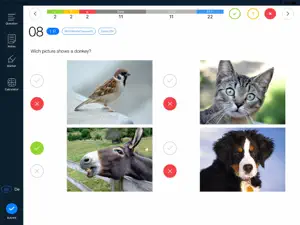 BeAxi E-Assessment screenshot 1