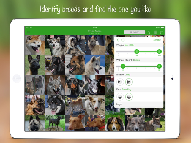 ‎Снимка на екрана на iKnow Dogs 2 PRO