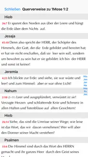 online bibel iphone bildschirmfoto 3