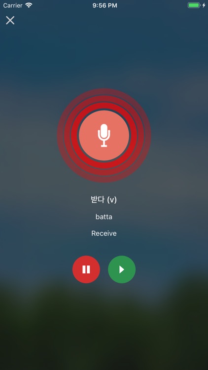 Learn Korean Daily screenshot-4