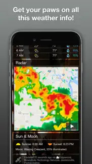 wildlife wallpaper weather iphone screenshot 3