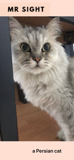 Mr Sight(圖3)-速報App