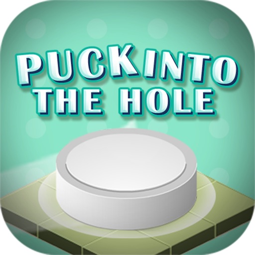 Puck Into The Hole