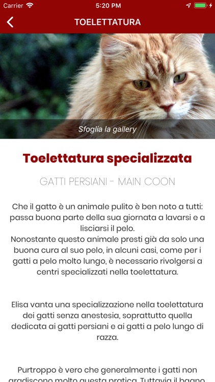 Animalia di Elisa screenshot-4