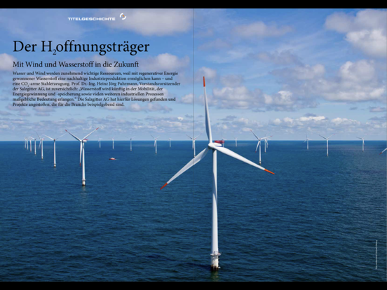 Screenshot #4 pour Salzgitter AG