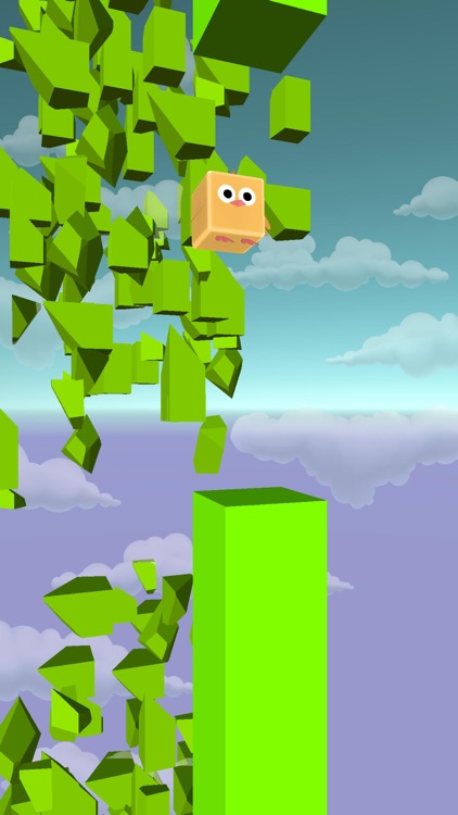 Bird Run - Flying IN The Sky screenshot-4