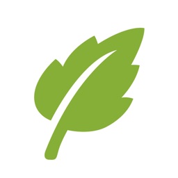 Green - Network tool