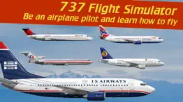 737 flight simulator problems & solutions and troubleshooting guide - 4