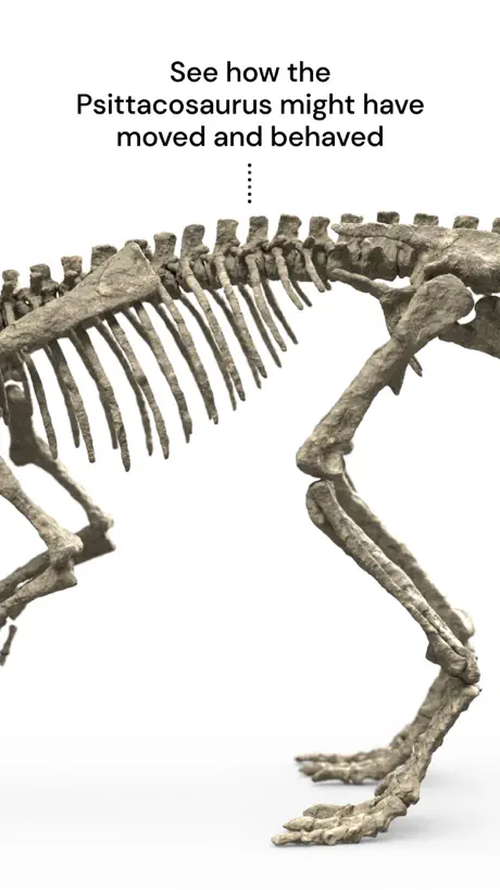 Famous Fossil